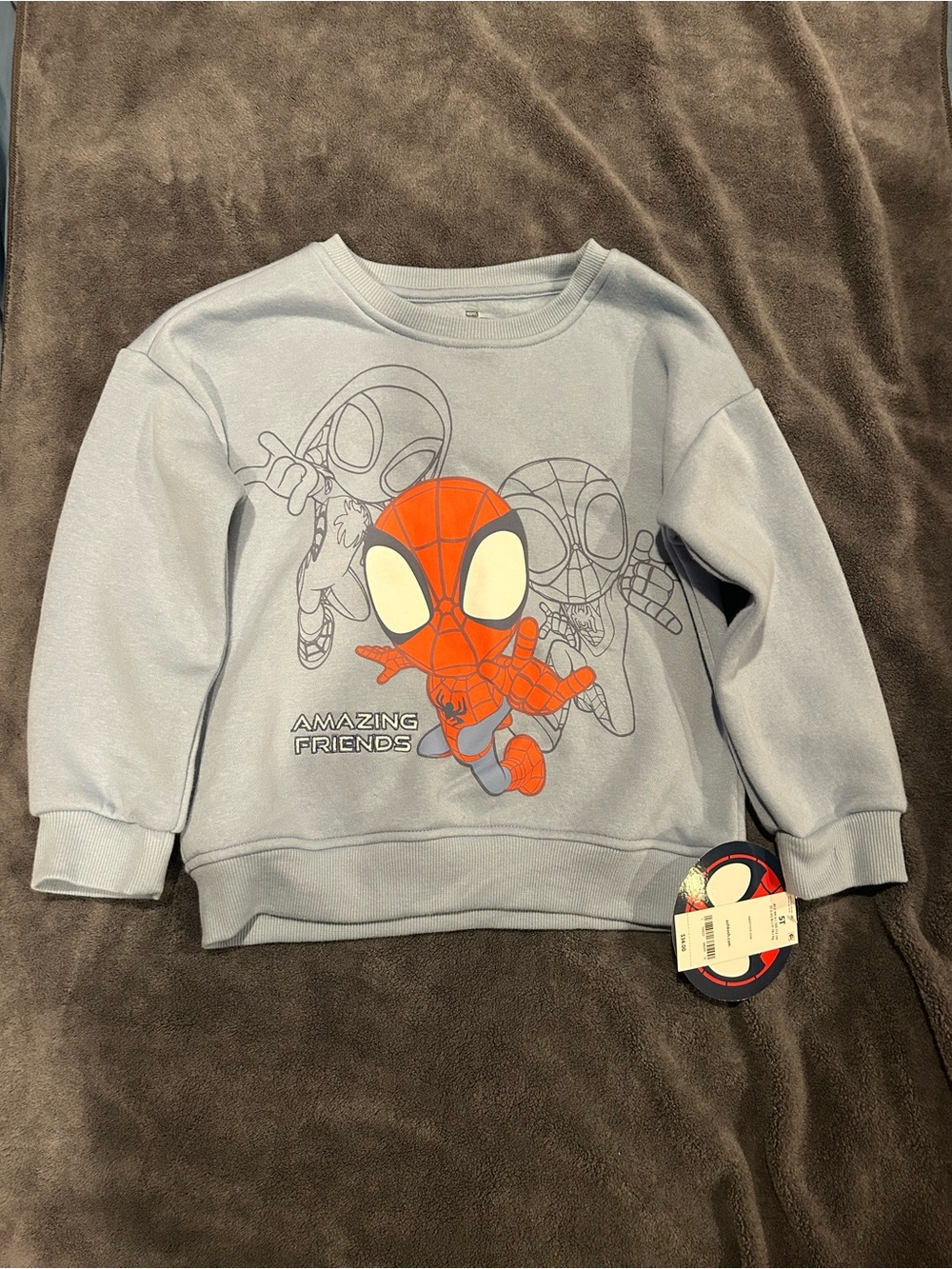 Kids' Spidey 'Amazing Friends' light blue Sweatshirt